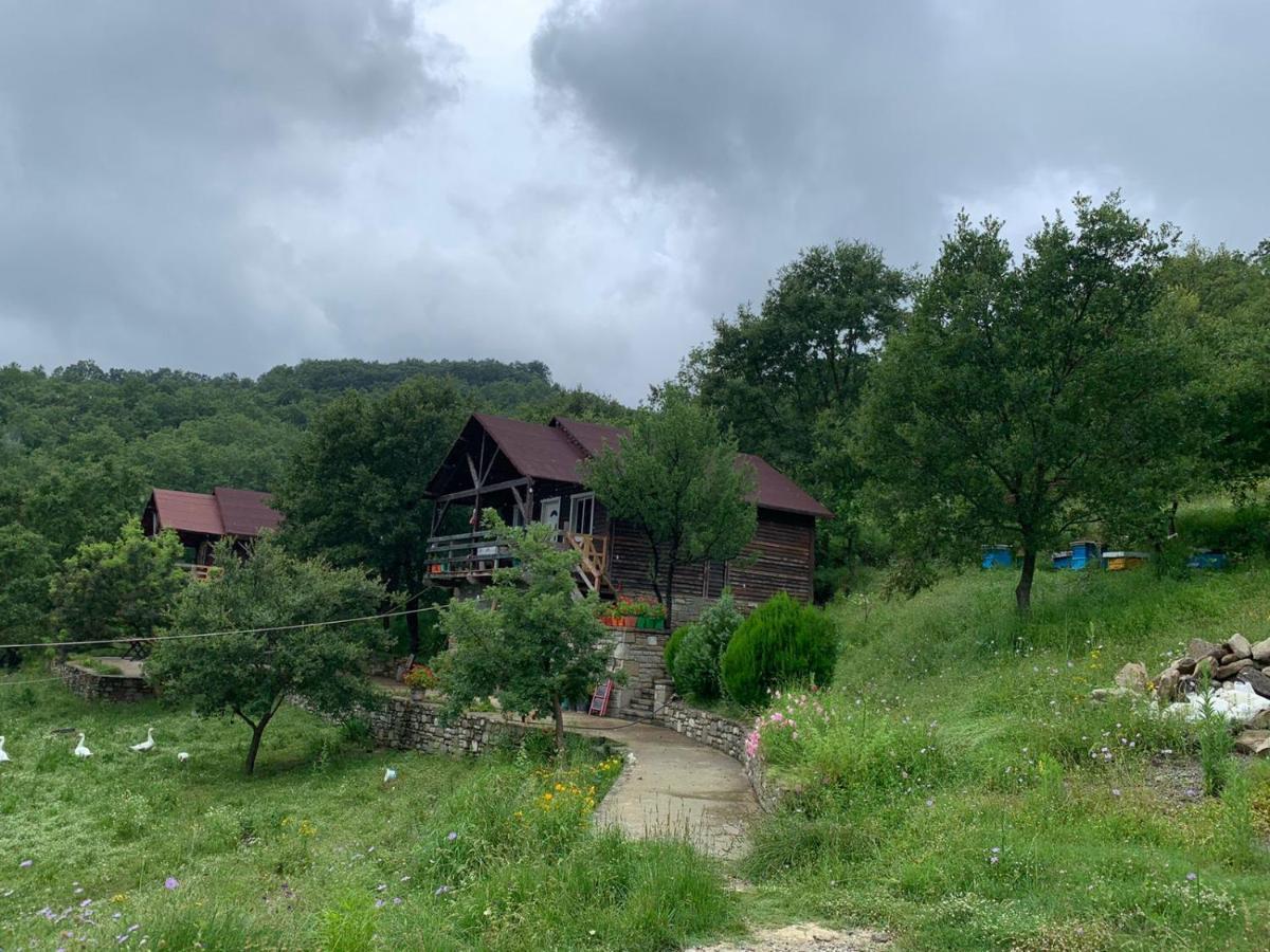 Origjina Farm Villa Përmet Kültér fotó